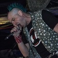 Click to enlarge GutterPunk - Professional Concert Photography